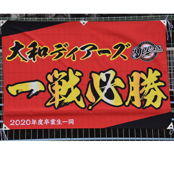 大和ディアーズ